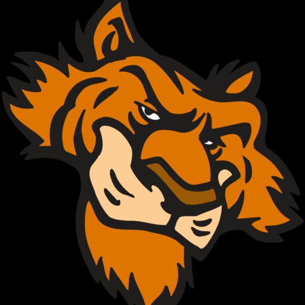 AR5 Tiger 16 RQC Thumbnail