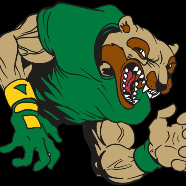 AR5 Wolverine 17 RQC Thumbnail