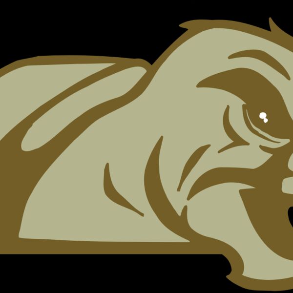 AR5 Turtle 02 RQC Thumbnail