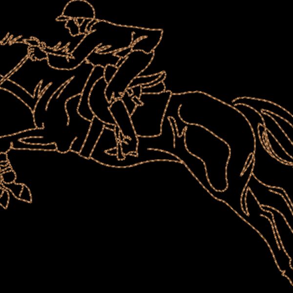 WS612 48 Thumbnail